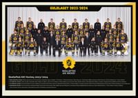 Guldlaget 2024 Skellefteå AIK-0