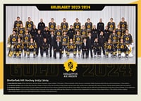 Guldlaget 2024 Skellefteå AIK-1