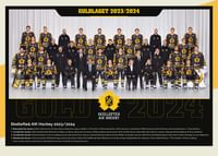 Guldlaget 2024 Skellefteå AIK-1