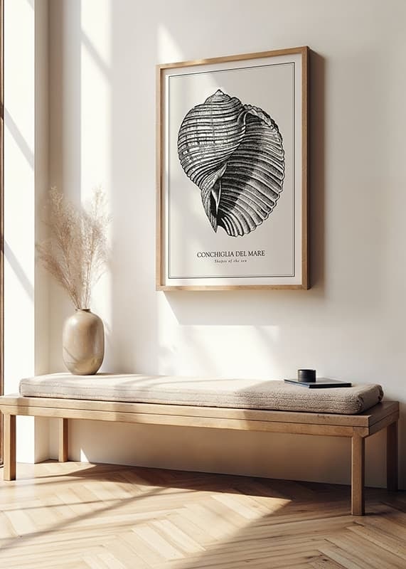 Poster med en vintage illustration av ett snäckskal-12