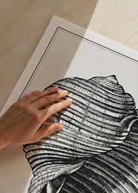 Poster med en vintage illustration av ett snäckskal-3