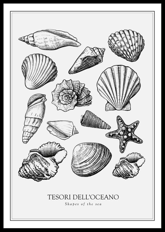 Poster con illustrazione vintage di un collage di conchiglie e stelle marine-12
