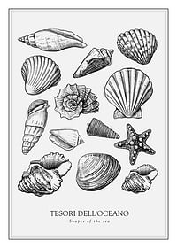 Poster cu o ilustrație de epocă a unui colaj de scoici și stele de mare-1