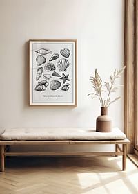 Poster cu o ilustrație de epocă a unui colaj de scoici și stele de mare-2