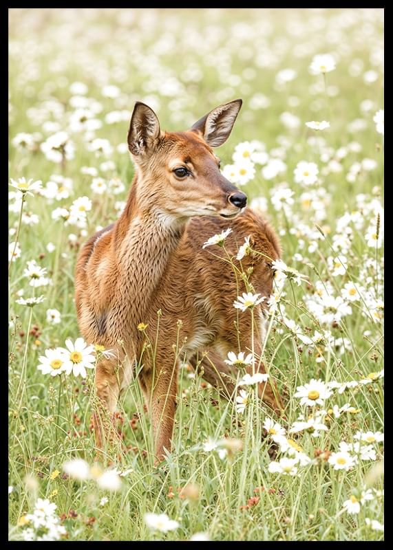 Poster with a picture of a small deer in a blooming meadow-12