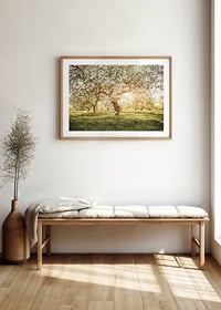 Poster with a beautiful tree on a blooming meadow at sunrise-8