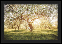 Plakat z pięknym drzewem na kwitnącej łące o wschodzie słońca-4