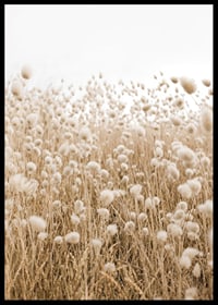 Poster with an image of a rolling field in earthy tones-6