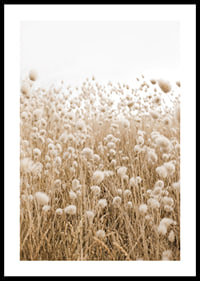 Poster with an image of a rolling field in earthy tones-0