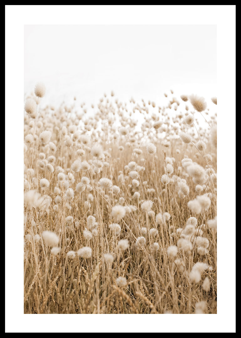 Poster with an image of a rolling field in earthy tones-12