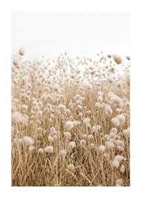 Poster with an image of a rolling field in earthy tones-1