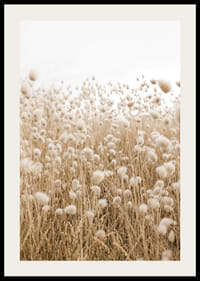 Affiche avec une image d'un champ vallonné dans des tons terreux-2