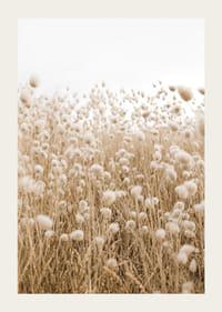 Affiche avec une image d'un champ vallonné dans des tons terreux-3