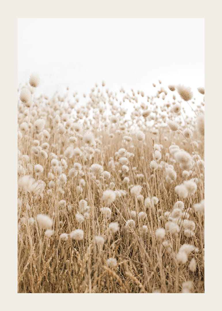 Affiche avec une image d'un champ vallonné dans des tons terreux-12