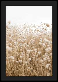 Affiche avec une image d'un champ vallonné dans des tons terreux-4