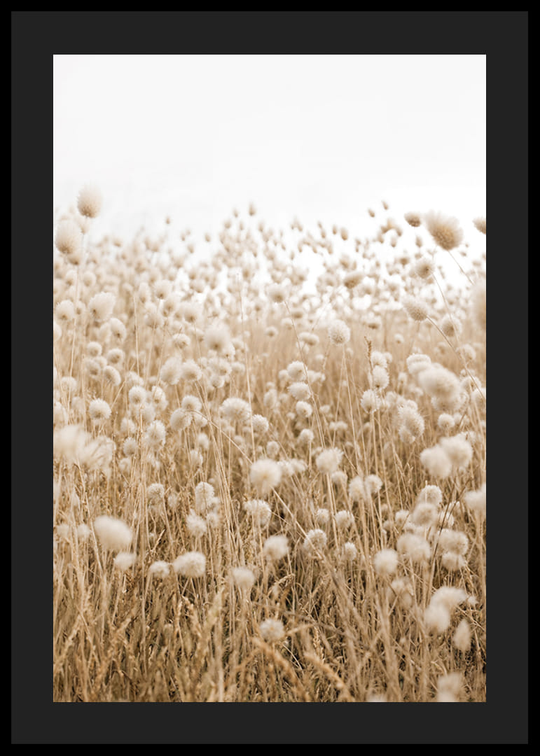 Affiche avec une image d'un champ vallonné dans des tons terreux-12