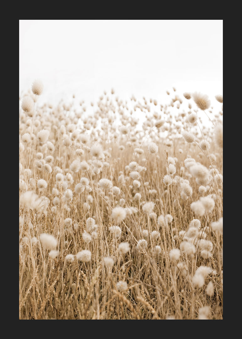 Poster with an image of a rolling field in earthy tones-12