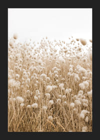 Affiche avec une image d'un champ vallonné dans des tons terreux-5