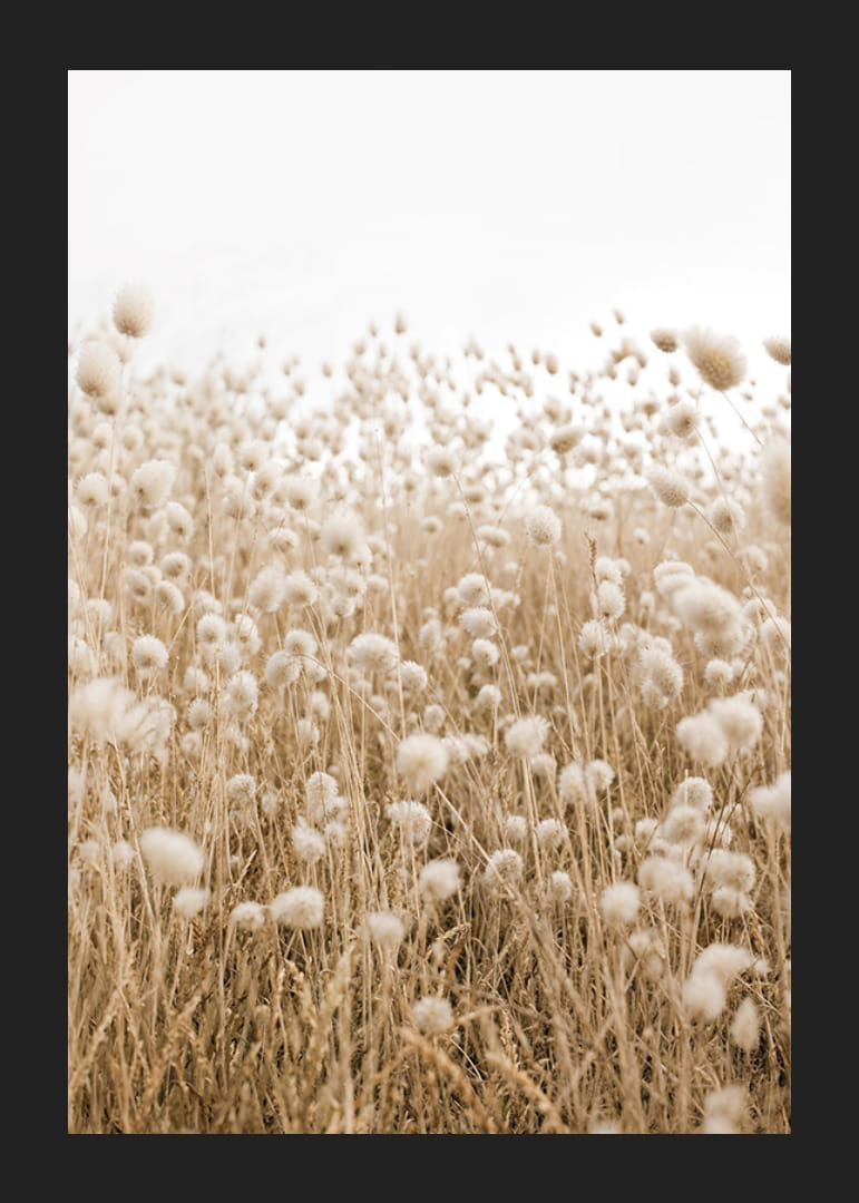 Affiche avec une image d'un champ vallonné dans des tons terreux-12