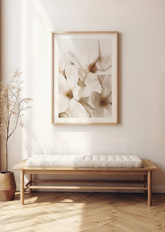 Poster with a beautiful close-up of white Magnolia flowers-12