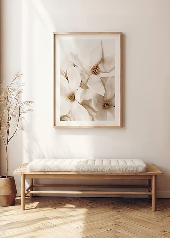 Poster cu un prim-plan frumos cu flori albe de Magnolia-12