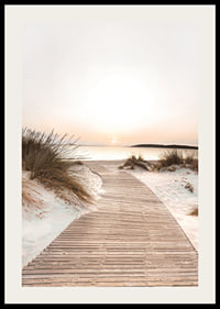 Poster with a beach road among sand dunes at sunset-2