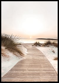 Poster with a beach road among sand dunes at sunset-6