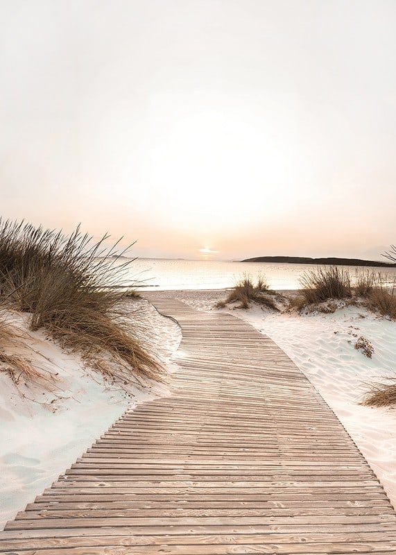 Poster with a beach road among sand dunes at sunset-12