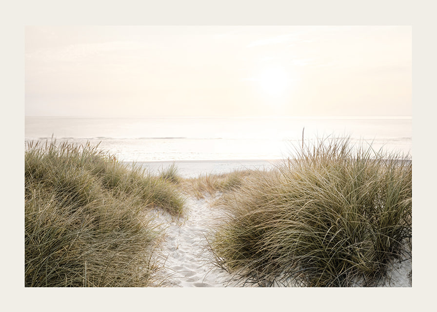 Poster with a photograph of rolling dunes by the sea-12