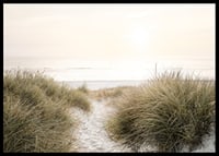 Poster with a photograph of rolling dunes by the sea-6
