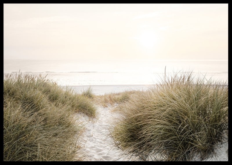 Poster with a photograph of rolling dunes by the sea-12