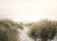 Poster with a photograph of rolling dunes by the sea-7