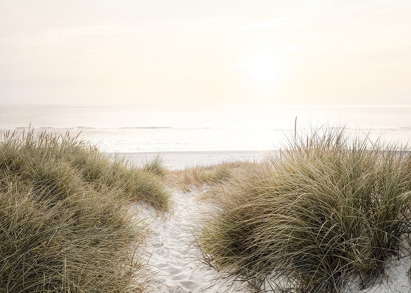 Poster with a photograph of rolling dunes by the sea-12