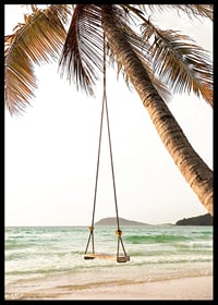 Poster with a photograph of a swing hanging from a palm tree on a beach-6