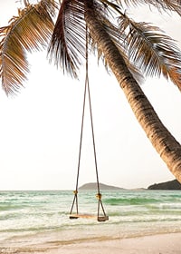 Poster with a photograph of a swing hanging from a palm tree on a beach-7