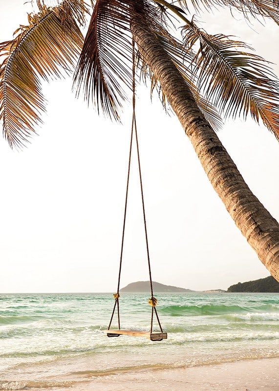 Poster with a photograph of a swing hanging from a palm tree on a beach-12