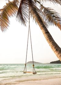 Poster with a photograph of a swing hanging from a palm tree on a beach-3