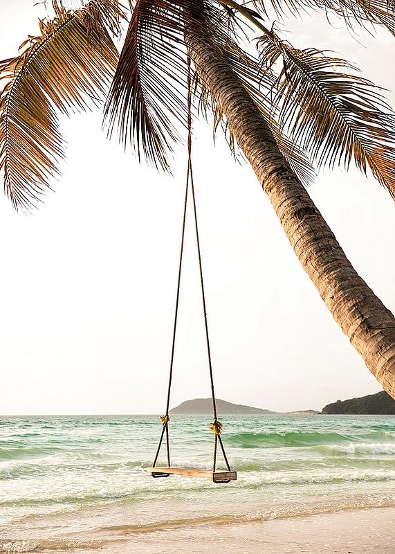 Poster with a photograph of a swing hanging from a palm tree on a beach-12