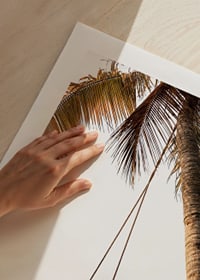 Poster with a photograph of a swing hanging from a palm tree on a beach-9