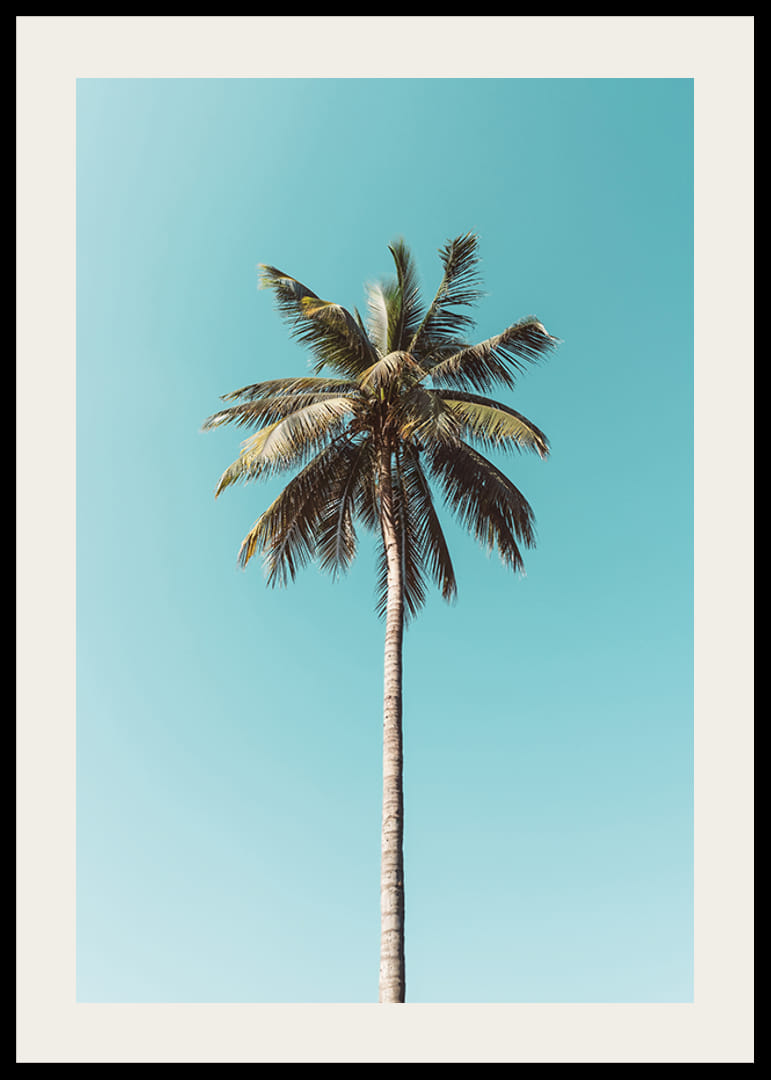 Plagát s osamelou palmou proti jasnej modrej oblohe-12