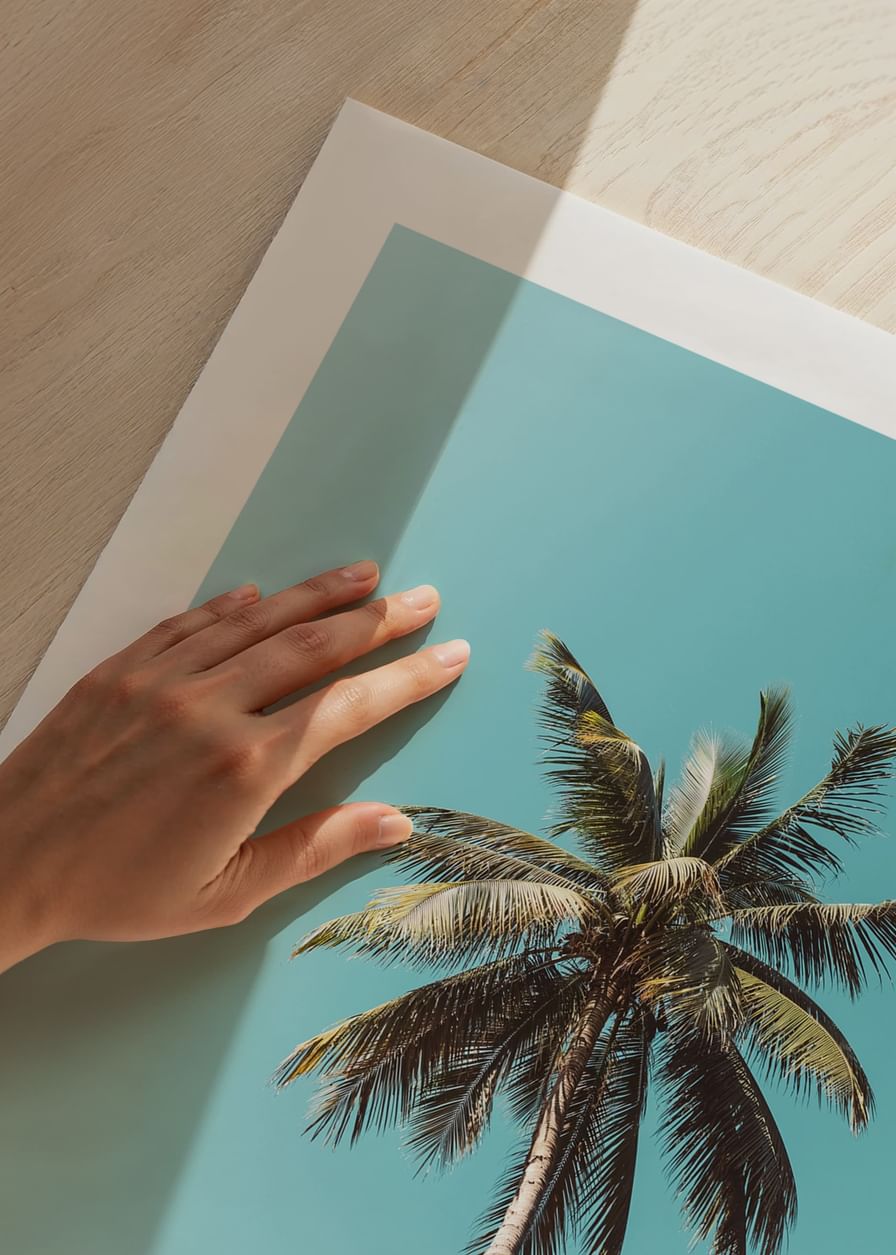 Plakat med en enslig palme mot en klar blå himmel-12