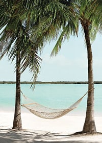 Poster with a photograph of a hammock between two palm trees on a beautiful beach-7