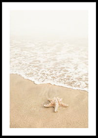 Poster med ett fotografi på en sjöstjärna vid vattenbrynet på en strand-0