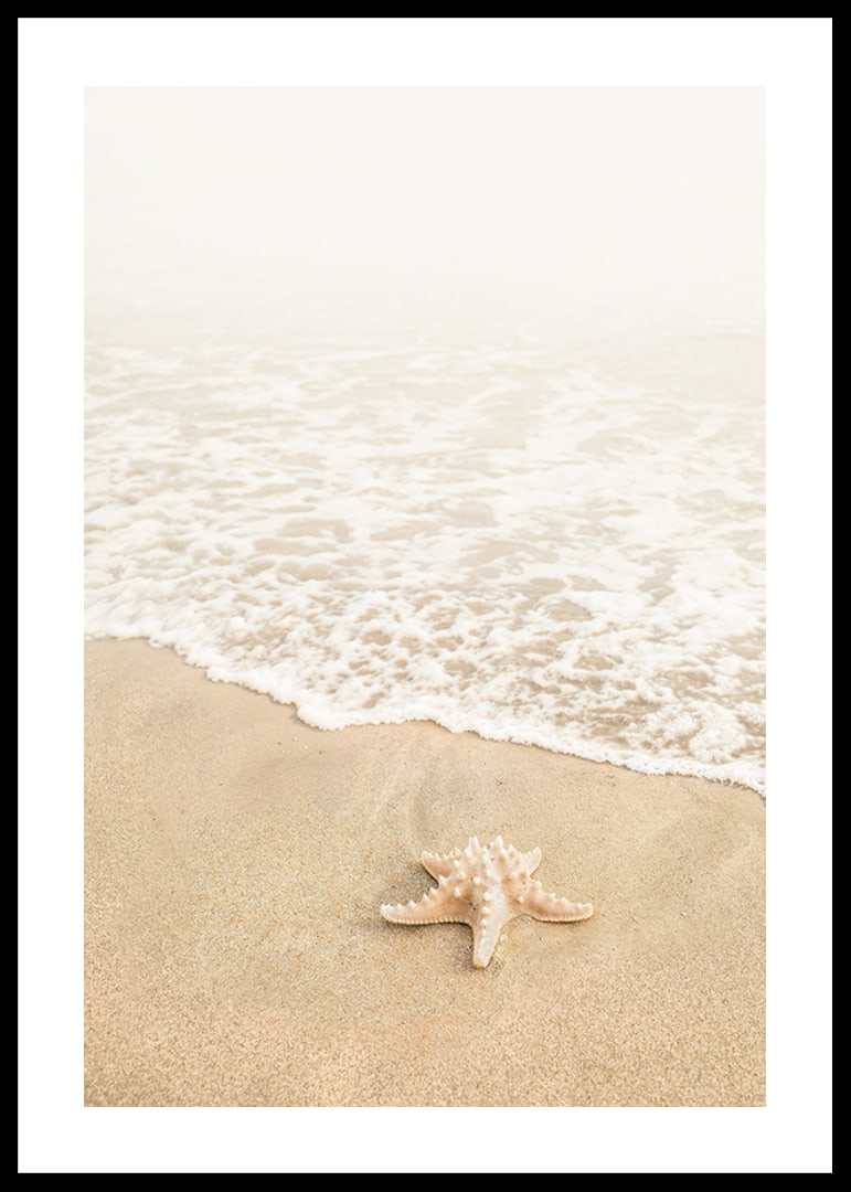 Poster med ett fotografi på en sjöstjärna vid vattenbrynet på en strand-12