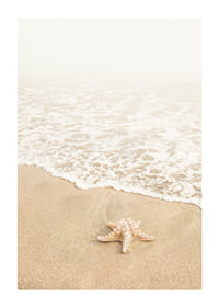 Poster med ett fotografi på en sjöstjärna vid vattenbrynet på en strand-1