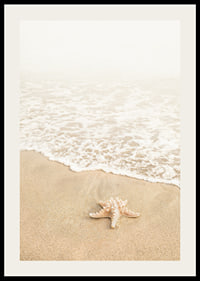 Poster med ett fotografi på en sjöstjärna vid vattenbrynet på en strand-2