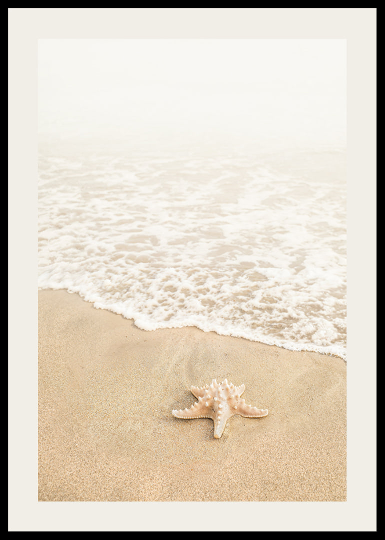 Poster med ett fotografi på en sjöstjärna vid vattenbrynet på en strand-12