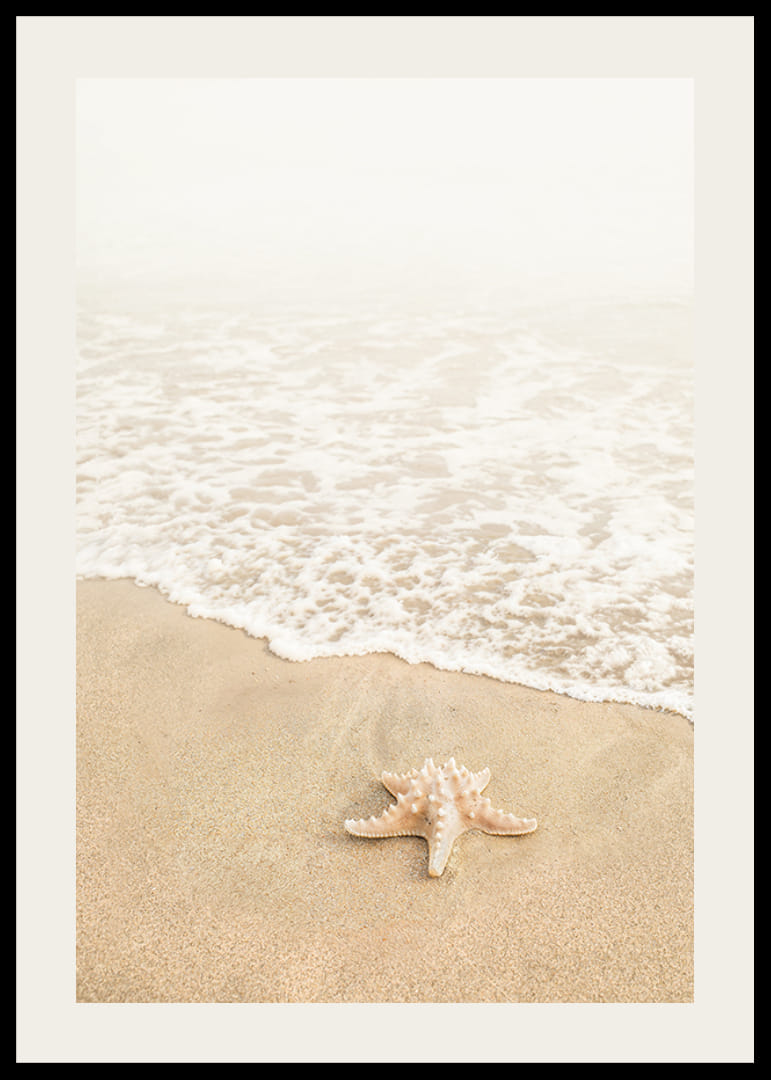 Poster con la fotografia di una stella marina in riva al mare su una spiaggia-12