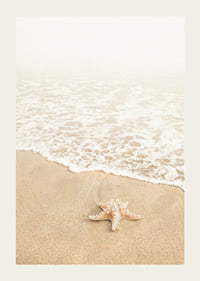 Poster med ett fotografi på en sjöstjärna vid vattenbrynet på en strand-3