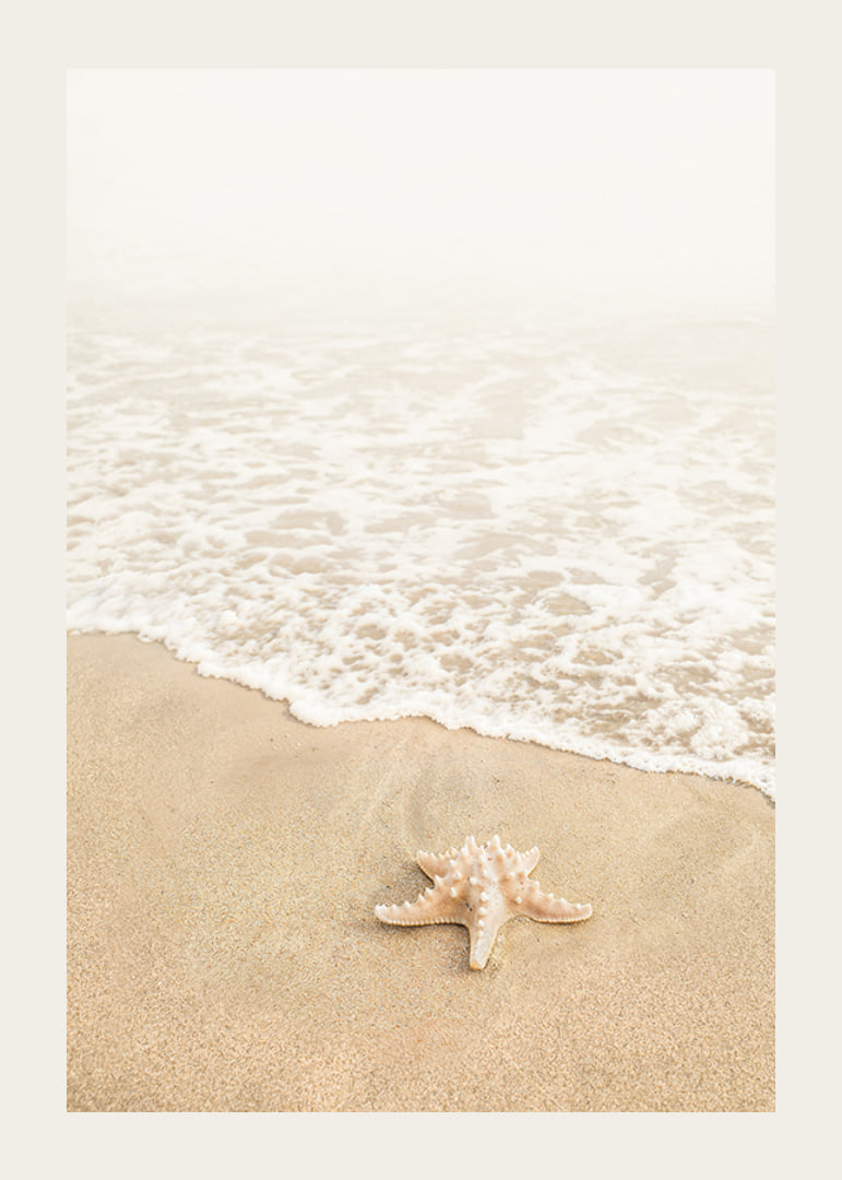 Poster med ett fotografi på en sjöstjärna vid vattenbrynet på en strand-12